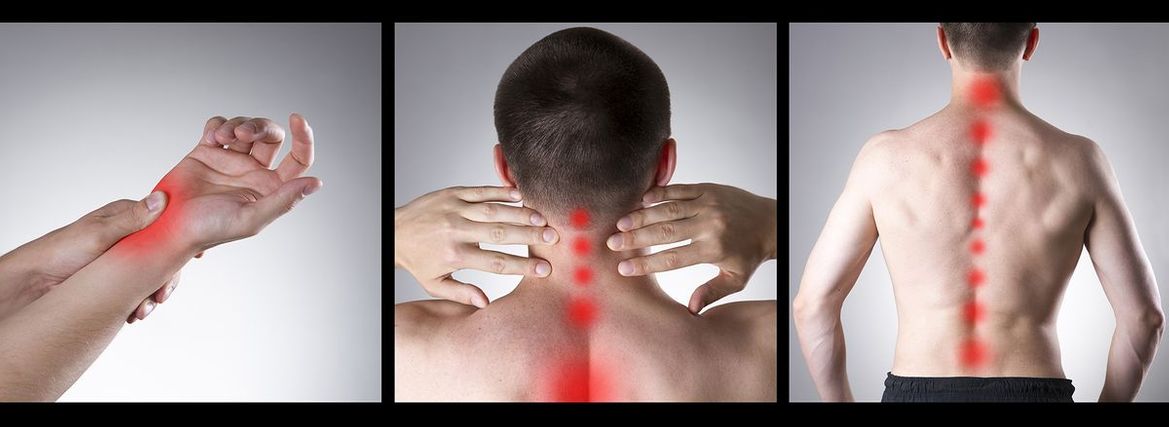 Chart showing different highlighted focus points of back, neck and arm